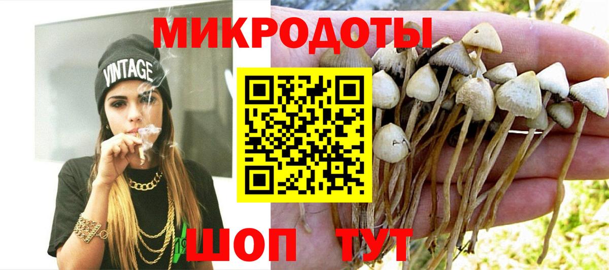 Галлюциногенные грибы прущие грибы Пушкино