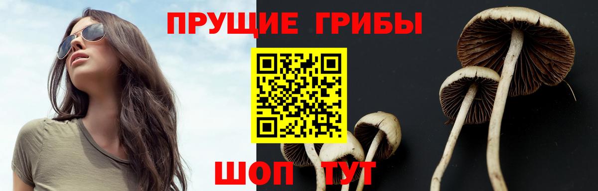 Псилоцибиновые грибы Psilocybine cubensis  Вход с VPN  Пушкино  Галлюциногенные грибы мицелий 